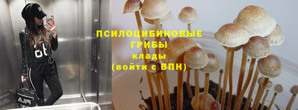 PSILOCYBIN Белоозёрский