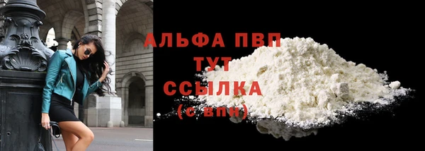 ПСИЛОЦИБИНОВЫЕ ГРИБЫ Белокуриха